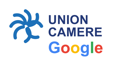 Unioncamere + Google